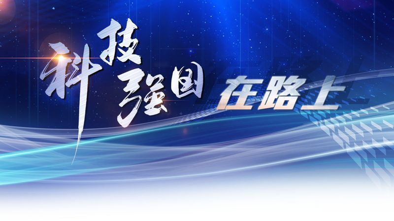 仓储物流信息化建设，成本与效益如何权衡？**