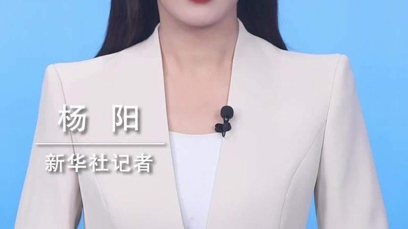 数据中台在政府项目中的应用：构建高效信息处理平台**